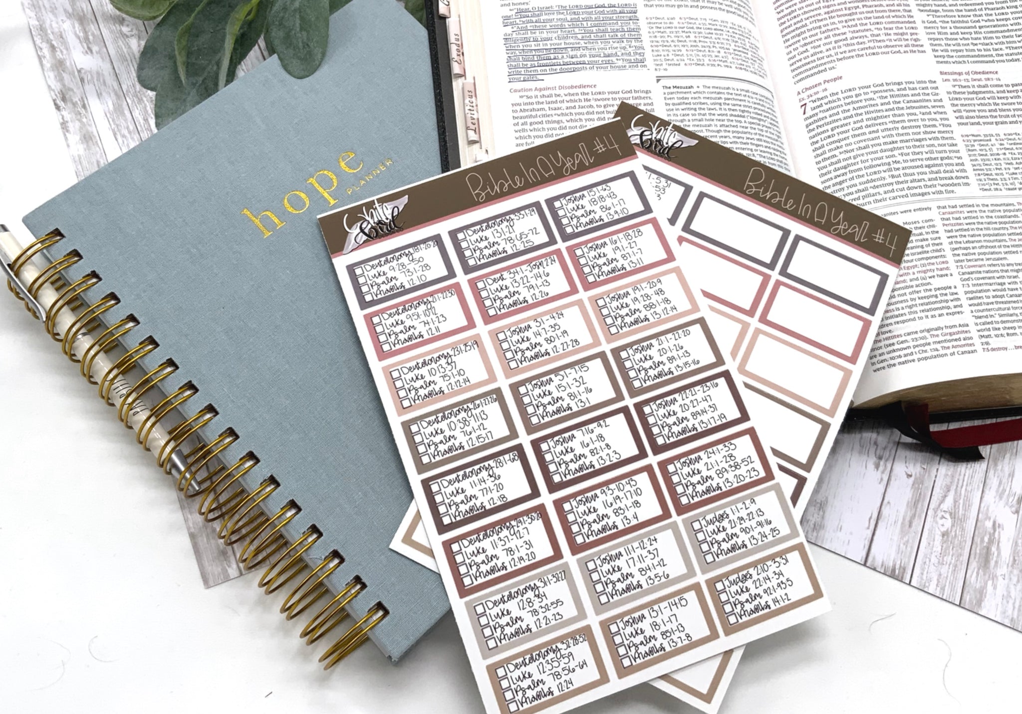 Daily Devotional, Devotional Reading Weekly Habit Tracker Stickers - Prayer  Reminder Box Sticker Christian Planner Sticker Sheets - Yahoo Shopping