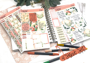 Fruit Faith Sticker Sheets| Christian Planner Stickers| Journal Stickers| Bible Stickers| Monthly StickerSets